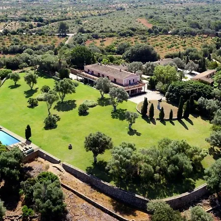 Villa Patata *